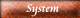 �V�X�e���J��